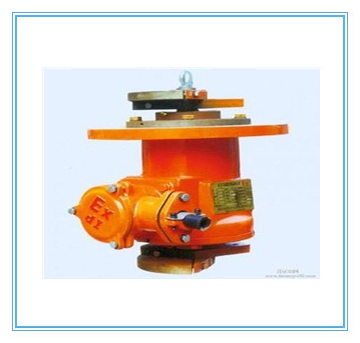 BZDL隔爆型系列立式振動(dòng)電機(jī)