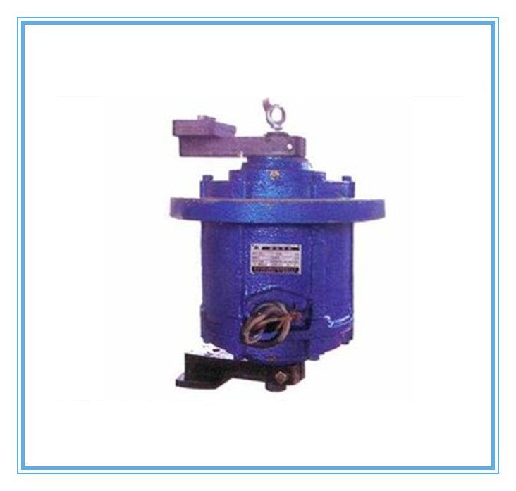 T05立式振動(dòng)電機(jī)